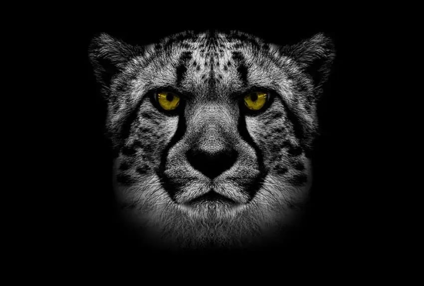 Gepardec_Referenzstory_Apple_Integration