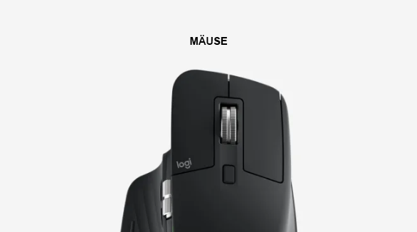 Mäuse_Neu